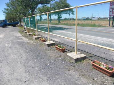 花苗を植えてみました