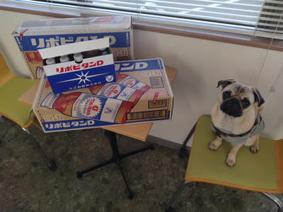 加藤商店さんから