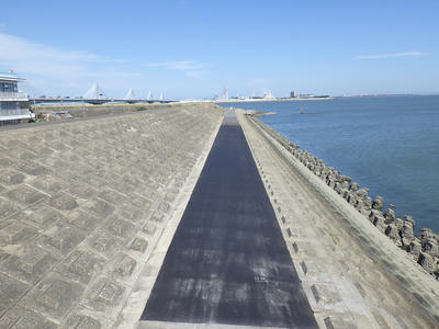 城南第一地区海岸　海岸高潮対策工事